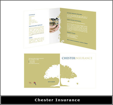 insurance company brochure design