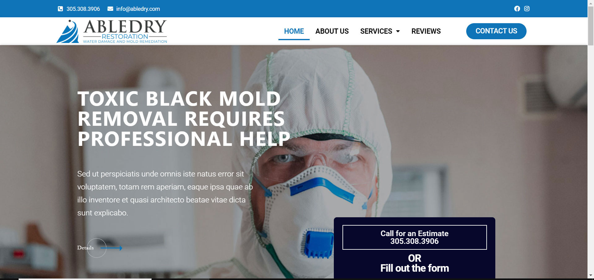 mold remediation web design