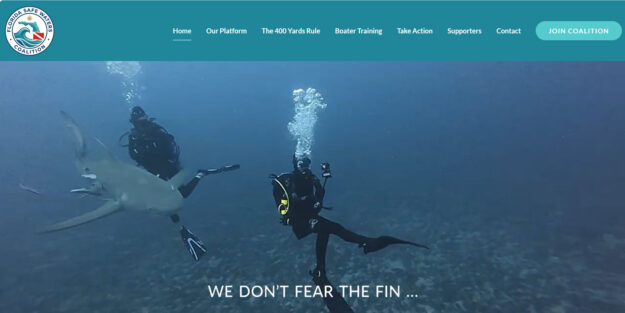 organization web design